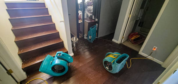 Best Flood restoration services  in Sioux City, IA
