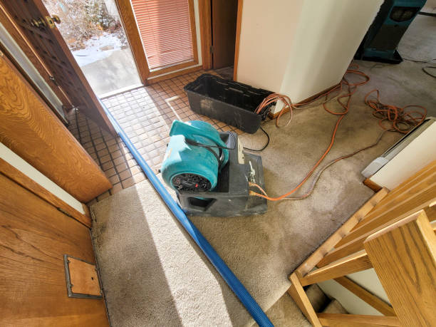 Best Carpet water damage restoration  in Sioux City, IA