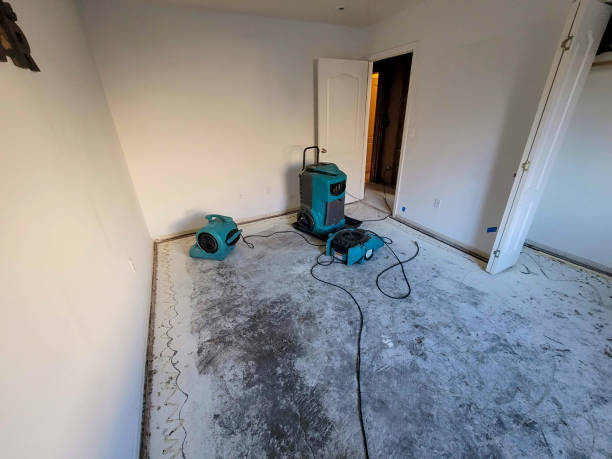 Best Flooded house restoration  in Sioux City, IA