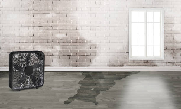  Sioux City, IA Water damage restoration Pros