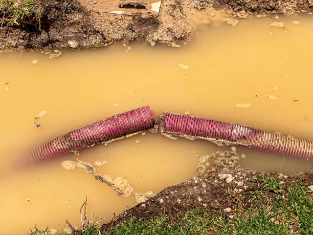 Best Professional water damage repair  in Sioux City, IA