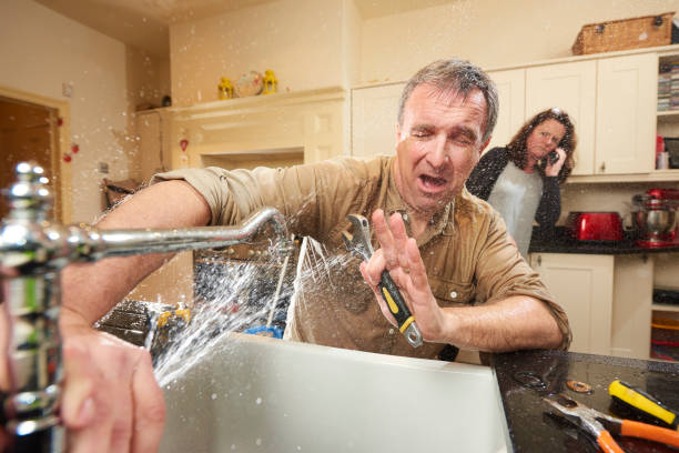 Best Mold removal after water damage  in Sioux City, IA
